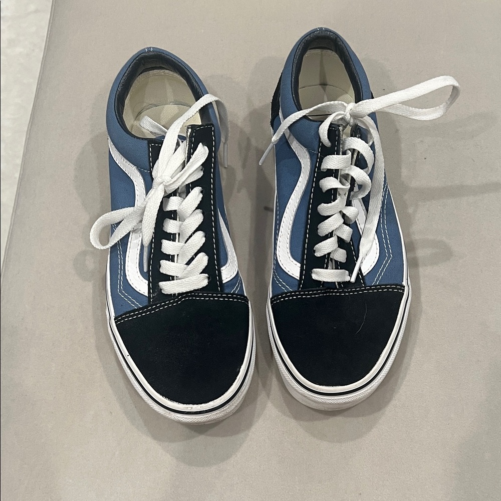 Classic Vans Skate Sneakers in Blue and Black